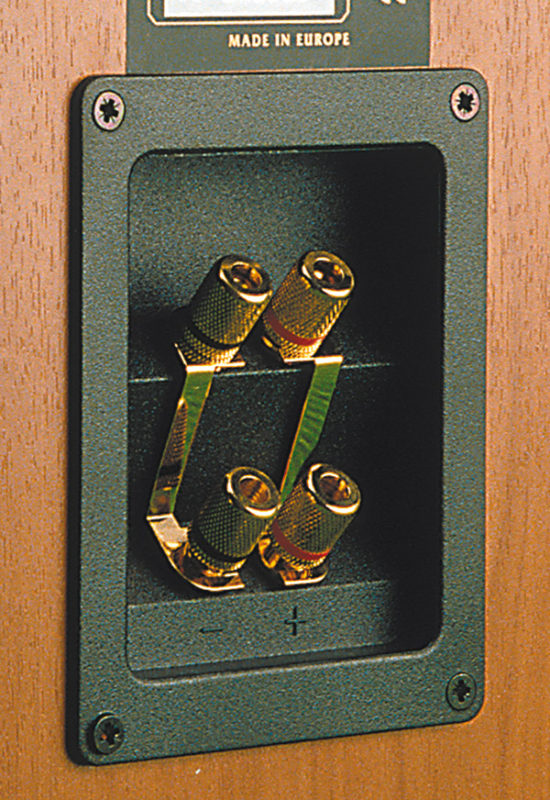 I doppi morsetti di uscita predispongono il pilotaggio per bi-wiring.