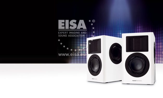 Radiant Acoustics Clarity 4.2